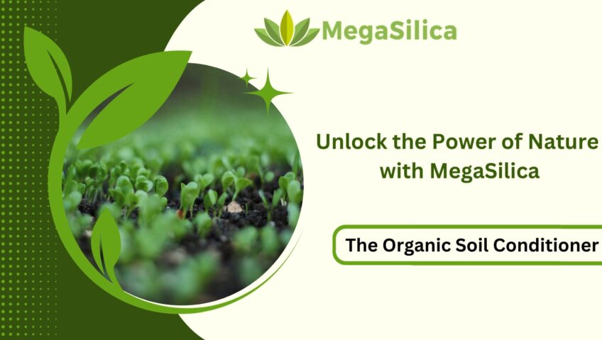Organic Soil Conditioner - MegaSilica
