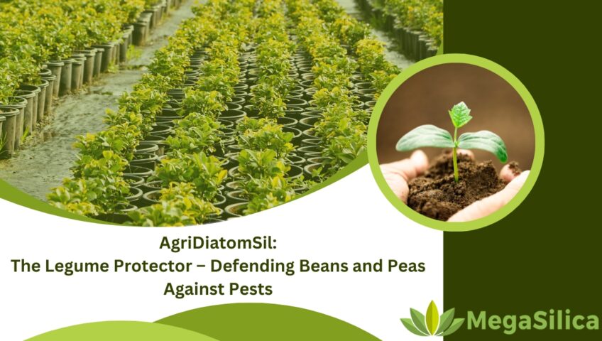 AgriDiatomSil - The Legume Protector