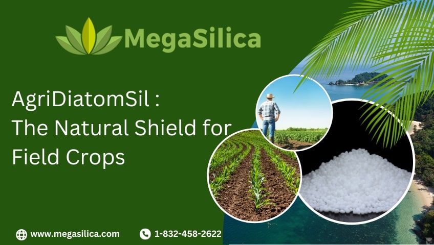 AgriDiatomSil The Natural Shield for Field Crops