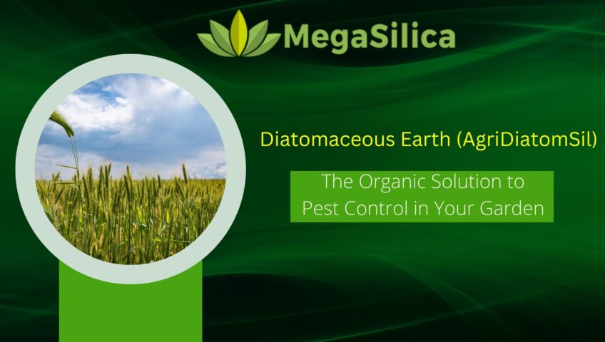 Diatomaceous Earth for Plants